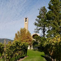 MISSION_HILL_IMG_6350