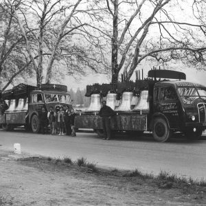 TRANSPORT-LIBERTY-BELL-1950