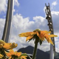 chatel_3326-400x400